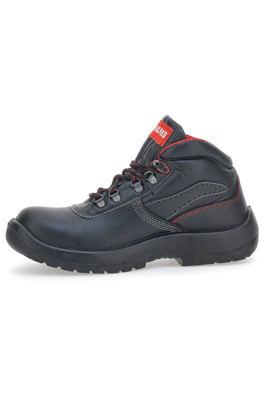 Antinfortunistica Longford 4 S3 SRC