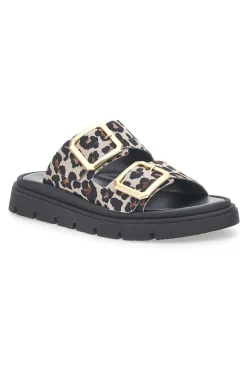 Ciabatte Leopardate Con Doppia Fascia Fibbia Dorata Pittarello Focus 19202