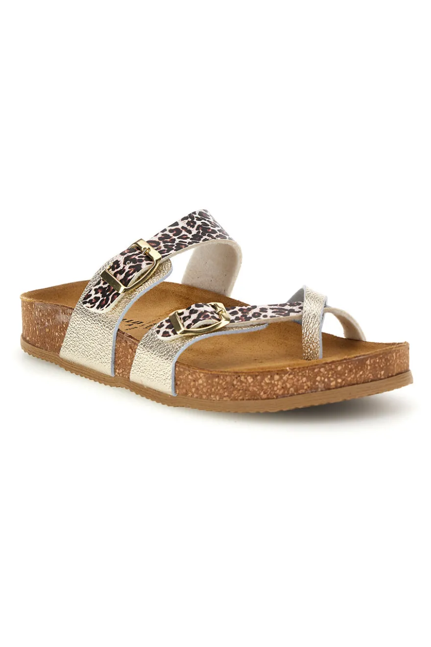 Ciabatte oro stampa animalier Pittarello Tierra 335A312SR