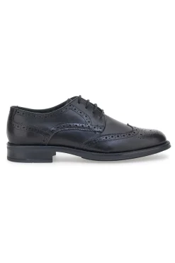 Elegante Schnürschuhe Andrea Bruni 11706 Schwarz
