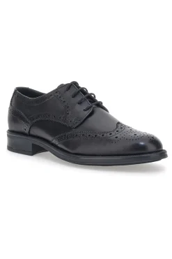 Elegante Schnürschuhe Andrea Bruni 11706 Schwarz