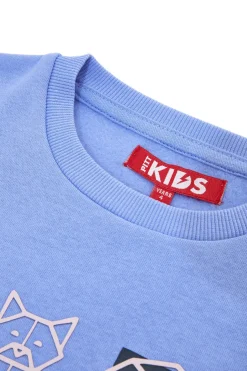 Felpa azzurra con stampa origami Pitt Kids PT-KF-8013