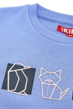 Felpa azzurra con stampa origami Pitt Kids PT-KF-8013