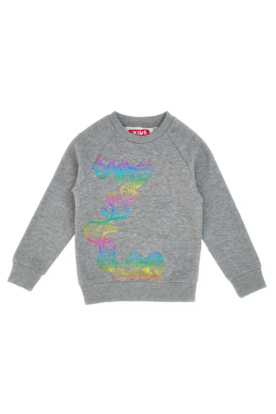 Felpa Girocollo con Stampa Olografica PITT KIDS 6032