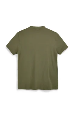 Grünes koreanisches Hals-T-Shirt mit Knöpfen Pittarello Tierra NBY3032