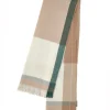 Maxi Sciarpa Beige Roncato 4600163