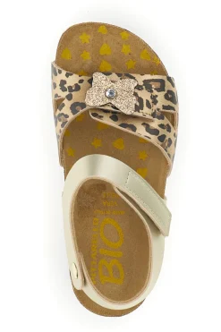 Sandali animalier con cinturino Pittarello bio 257A745SR