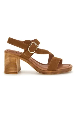 Sandali Cuoio con tacco e fibbia Pittarello look MK3909214