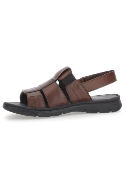 Sandali Fisherman Marroni Pittarello ECO 2417985