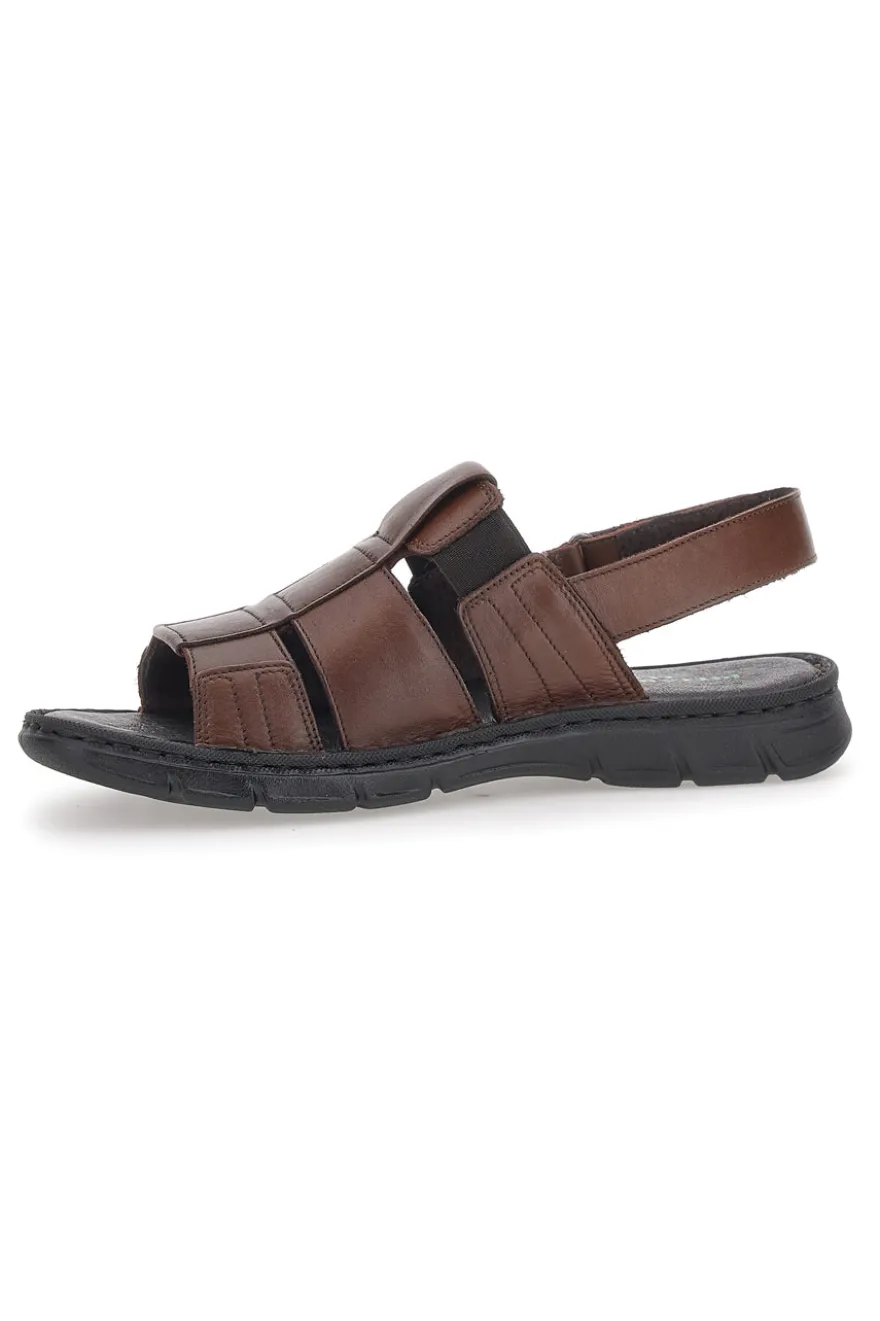 Sandali Fisherman Marroni Pittarello ECO 2417985
