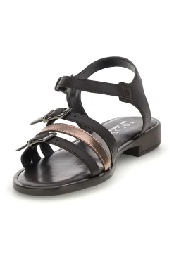 Sandali marroni con fasce e fibbie Pittarello Focus 222225