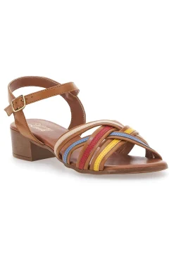 Sandali marroni con fascie colorate in Vera Pelle PITTARELLO LOOK 243110