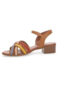 Sandali marroni con fascie colorate in Vera Pelle PITTARELLO LOOK 243110