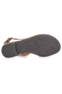 Sandali Marroni con Tomaia in Pelle e Tacco Basso PITTARELLO LOOK 225110