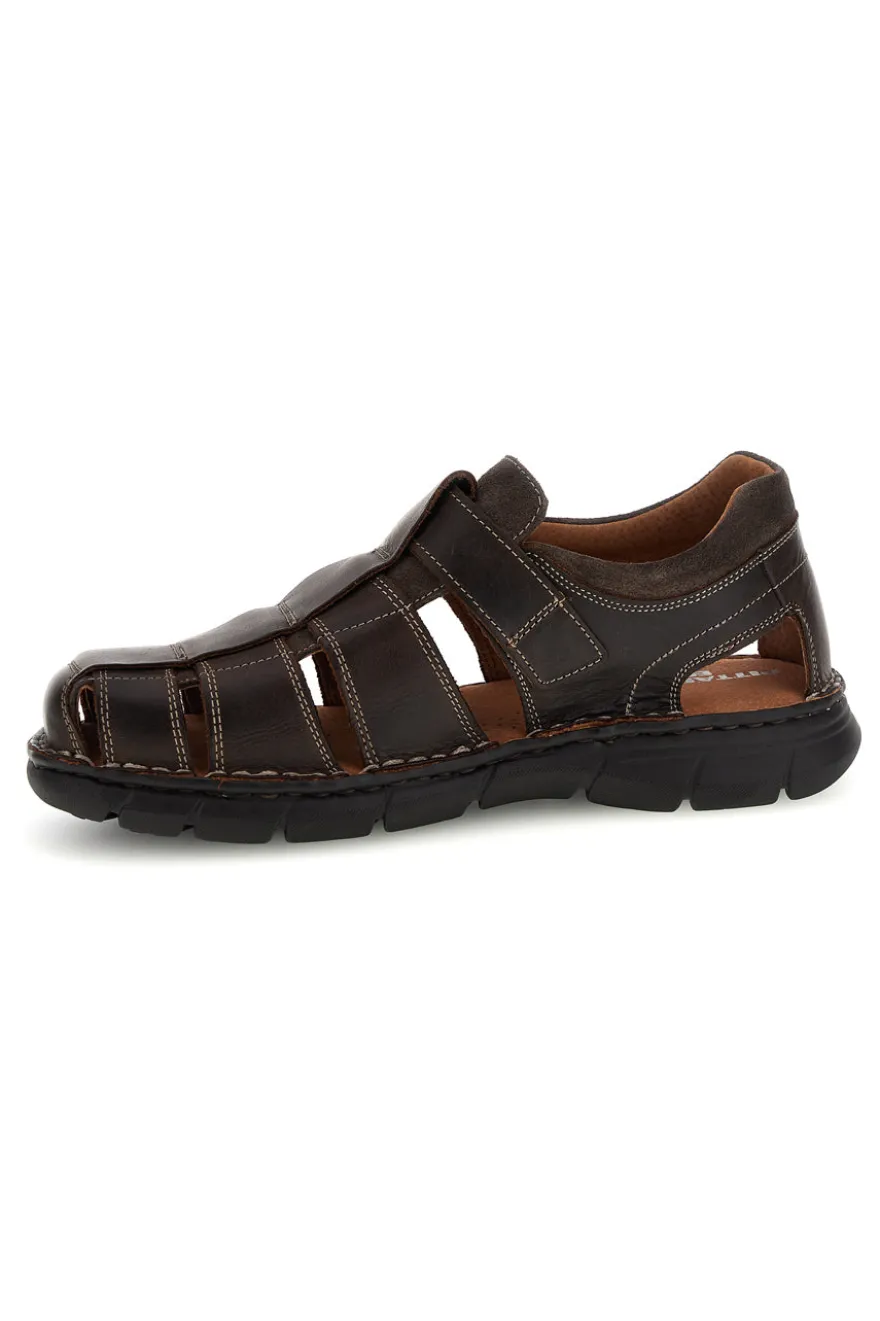 Sandali marroni in vera pelle con design intagliato Pittarello eco 2617402