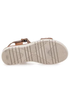 Sandali Marroni Pittarello Focus 6705000