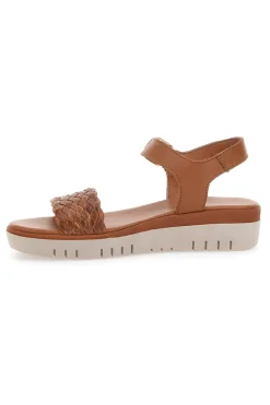 Sandali Marroni Pittarello Focus 6705000
