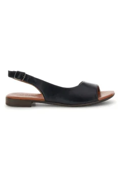 Sandali neri in pelle con cinturino Pittarello look 225110