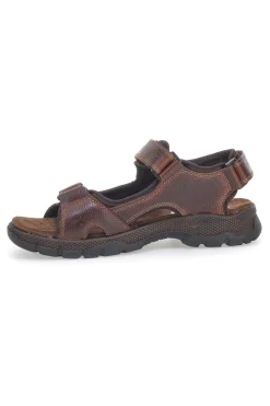 Sandali Pittarello Active 4102 Marrone