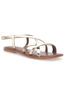 Sandali Platino a Infradito con Tomaia in Pelle Incrociata PITTARELLO SUN A99361103