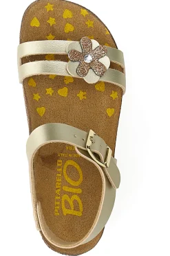 Sandali platino con strass colorati Pittarello Bio 257A007SR