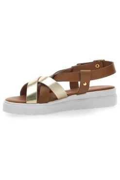 Sandali Prima Riga 246310 Marroni