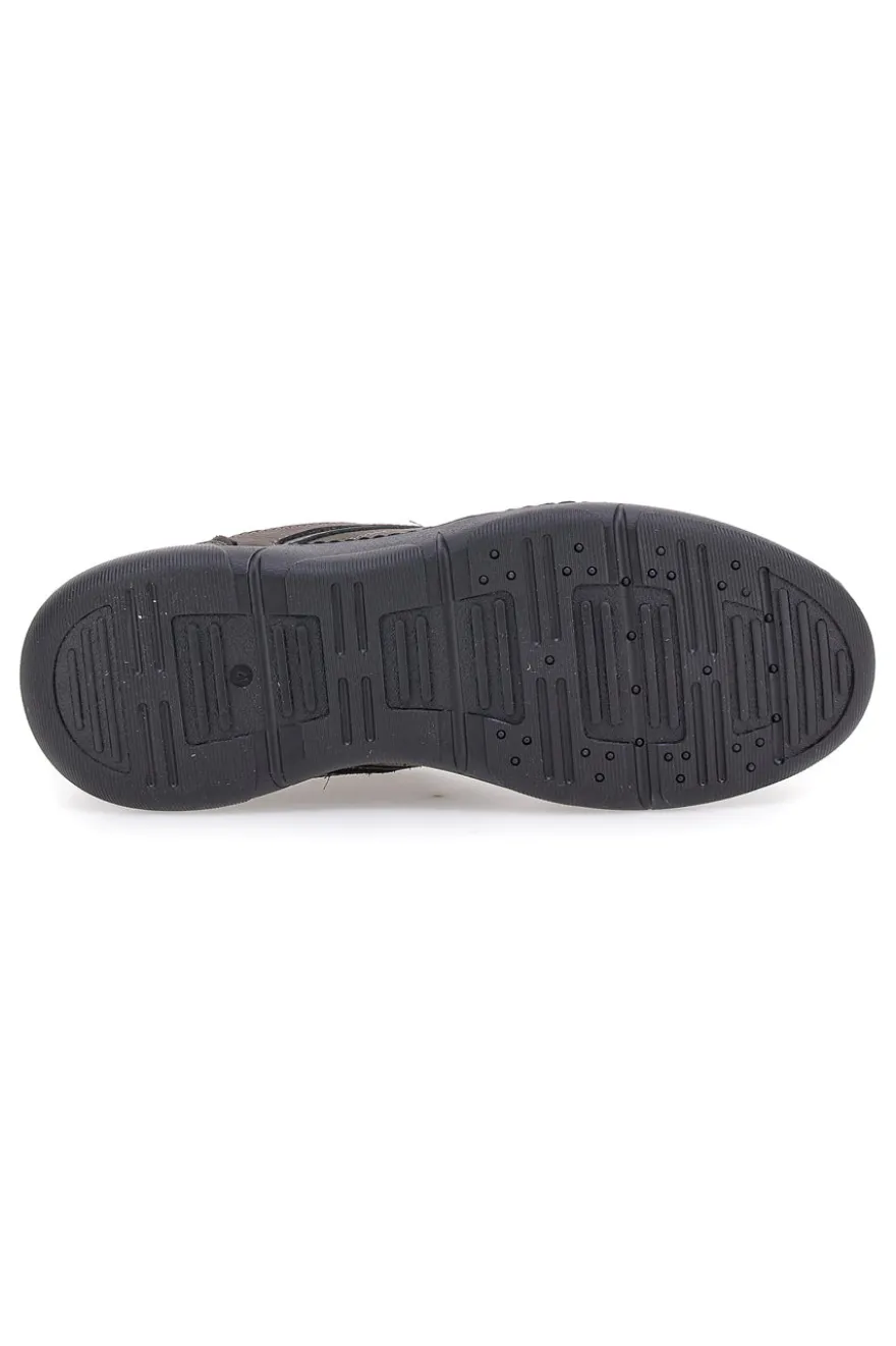 Scarpe casual grigie in vera pelle con zip laterale Pittarello Eco 25299008