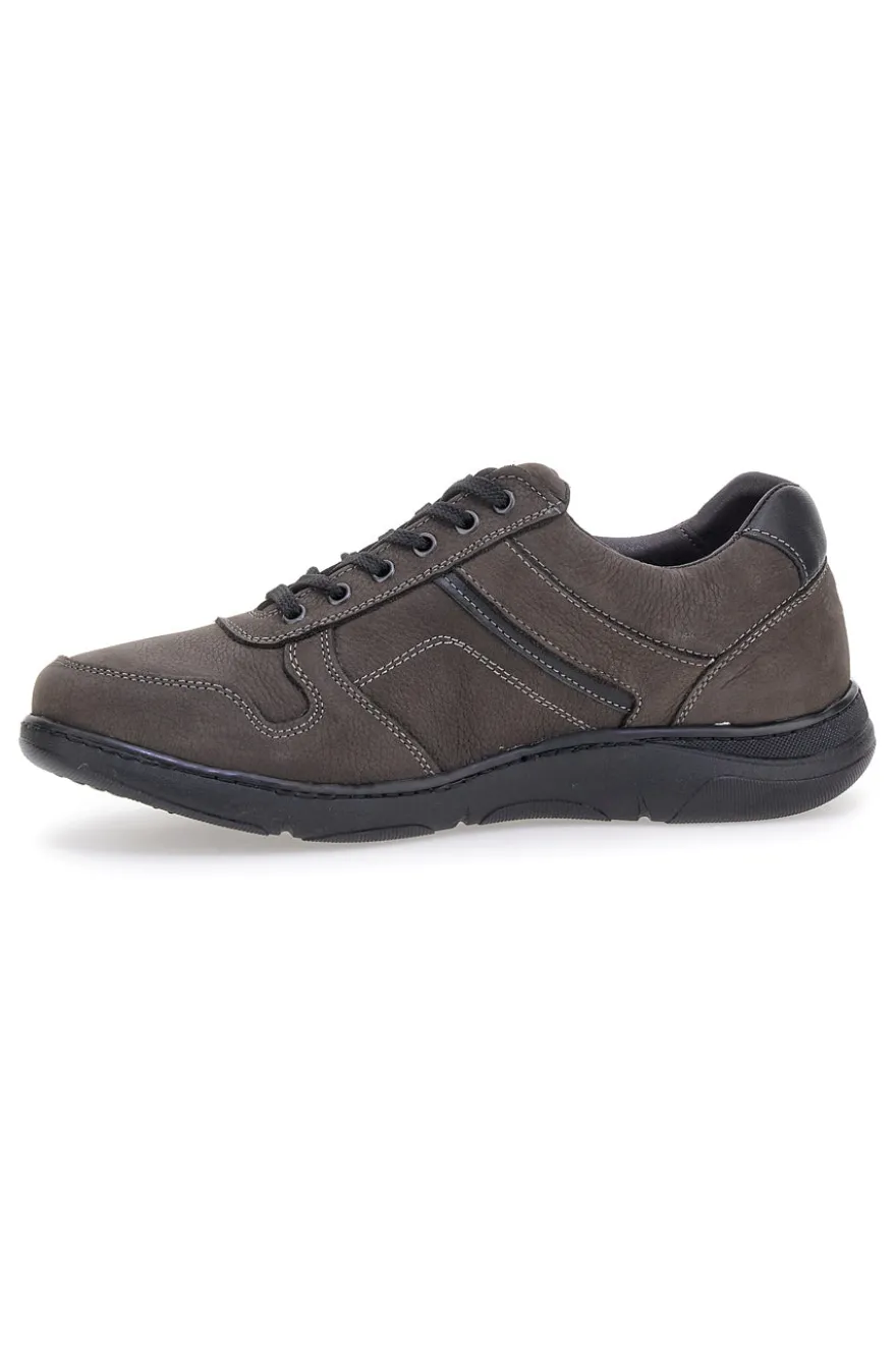 Scarpe casual grigie in vera pelle con zip laterale Pittarello Eco 25299008