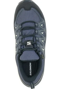Scarpe da Trail Running X Braze GTX Blu