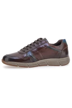 Scarpe da uomo marroni in pelle con zip Andrea Bruni AM901