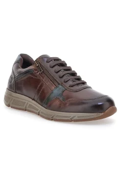 Scarpe da uomo marroni in pelle con zip Andrea Bruni AM901