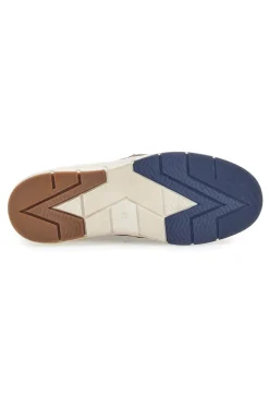 Scarpe Stringate Blu con Tomaia in Pelle PITTARELLO ECO 9704