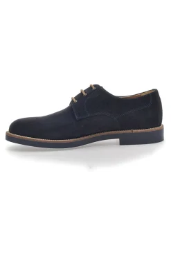 Scarpe Stringate Blu In Pelle Scamosciata Pittarello 8025