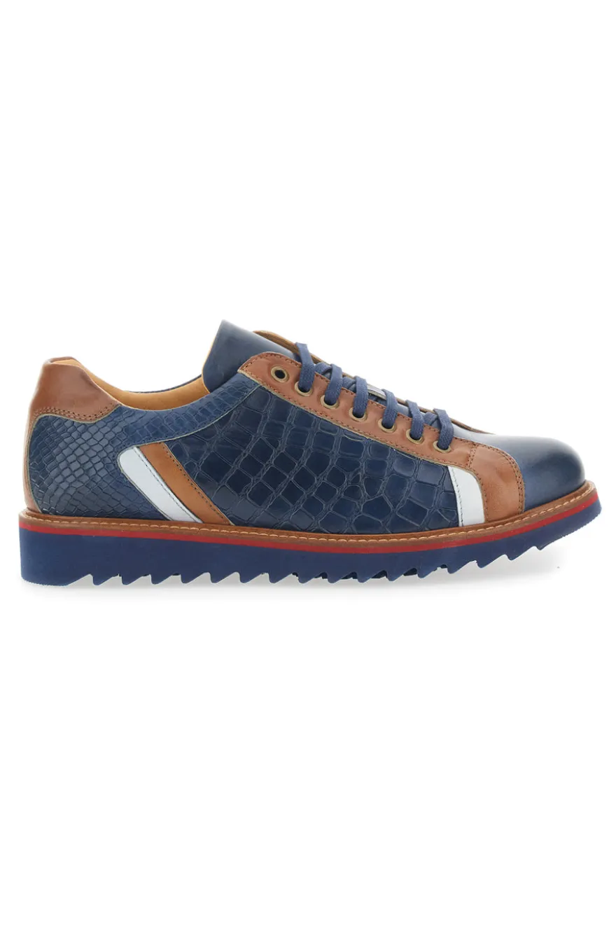 Scarpe Stringate Blu In Vera Pelle Made in Italy Pittarello Plus PT325