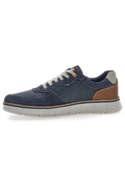 Scarpe stringate blu traforate con zip laterale Pittarello Eco 26111008