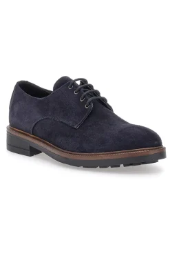 Scarpe stringate Blue in pelle scamosciata Pittarello class 600