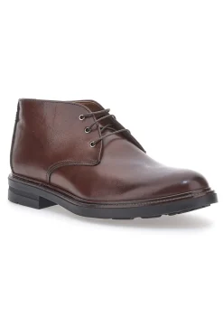 Scarpe Stringate Claremorris 024 Marrone