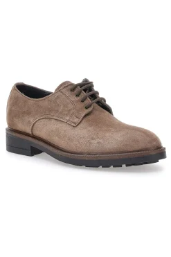 Scarpe stringate Grigio in pelle scamosciata Pittarello class 600