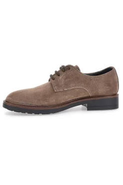 Scarpe stringate Grigio in pelle scamosciata Pittarello class 600