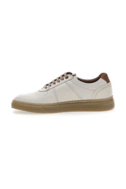 Scarpe Stringate in Vera Pelle Panna Pittarello Active 2421