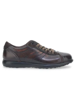 Scarpe Stringate Jerpoint 1911 Marrone