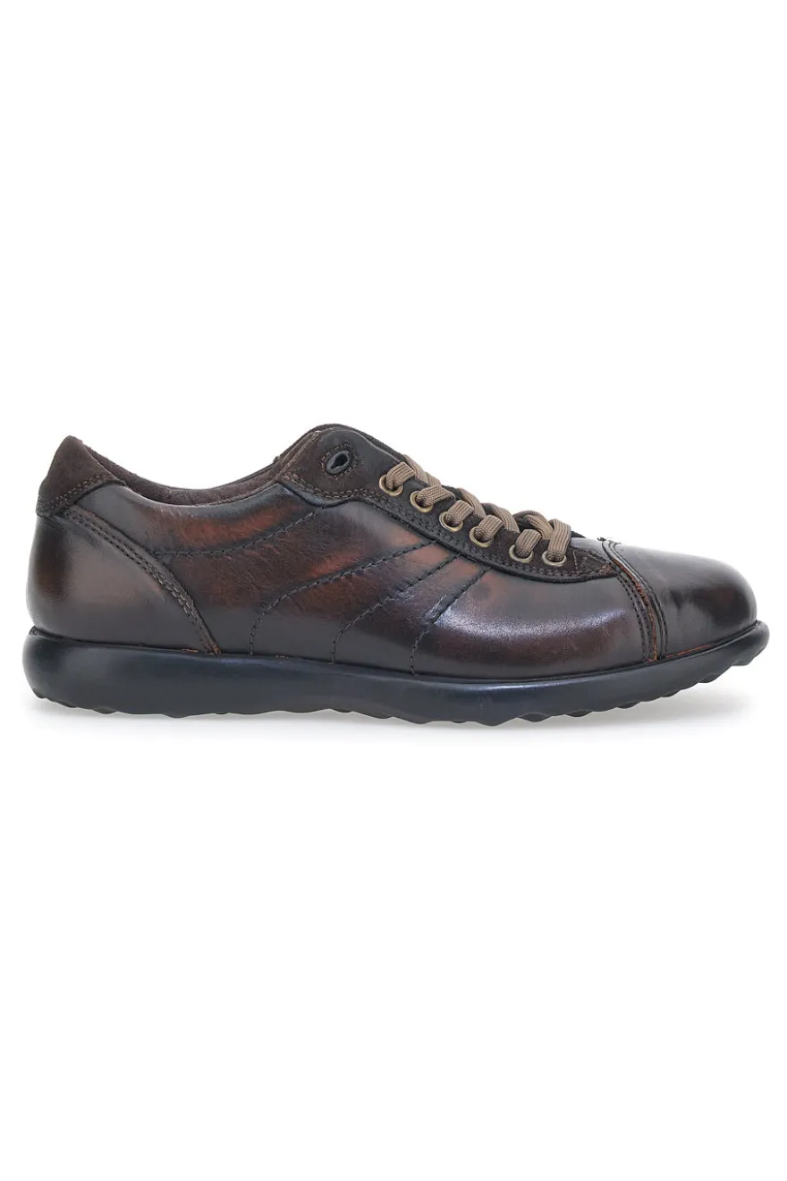 Scarpe Stringate Jerpoint 1911 Marrone