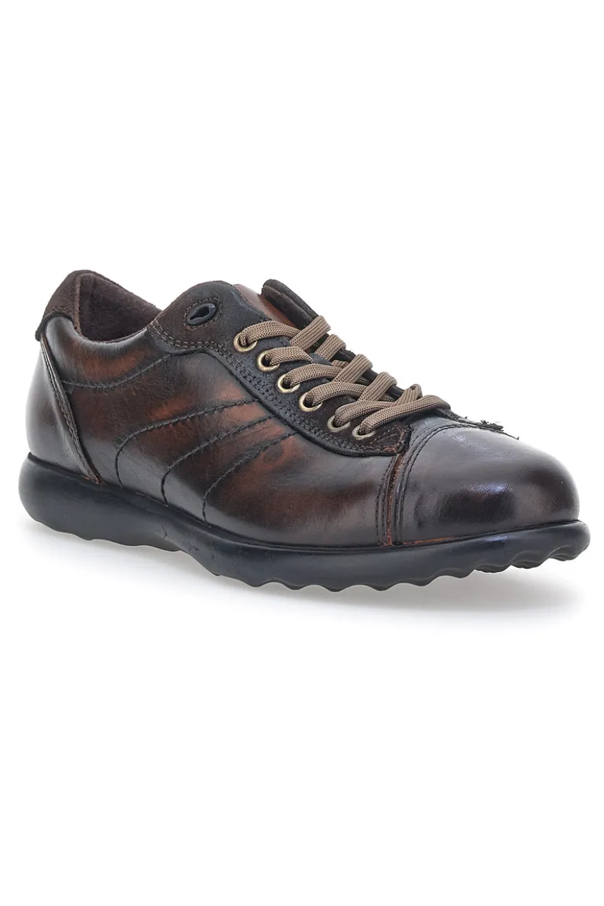 Scarpe Stringate Jerpoint 1911 Marrone