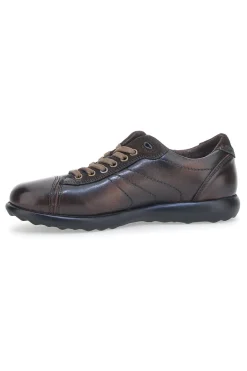 Scarpe Stringate Jerpoint 1911 Marrone