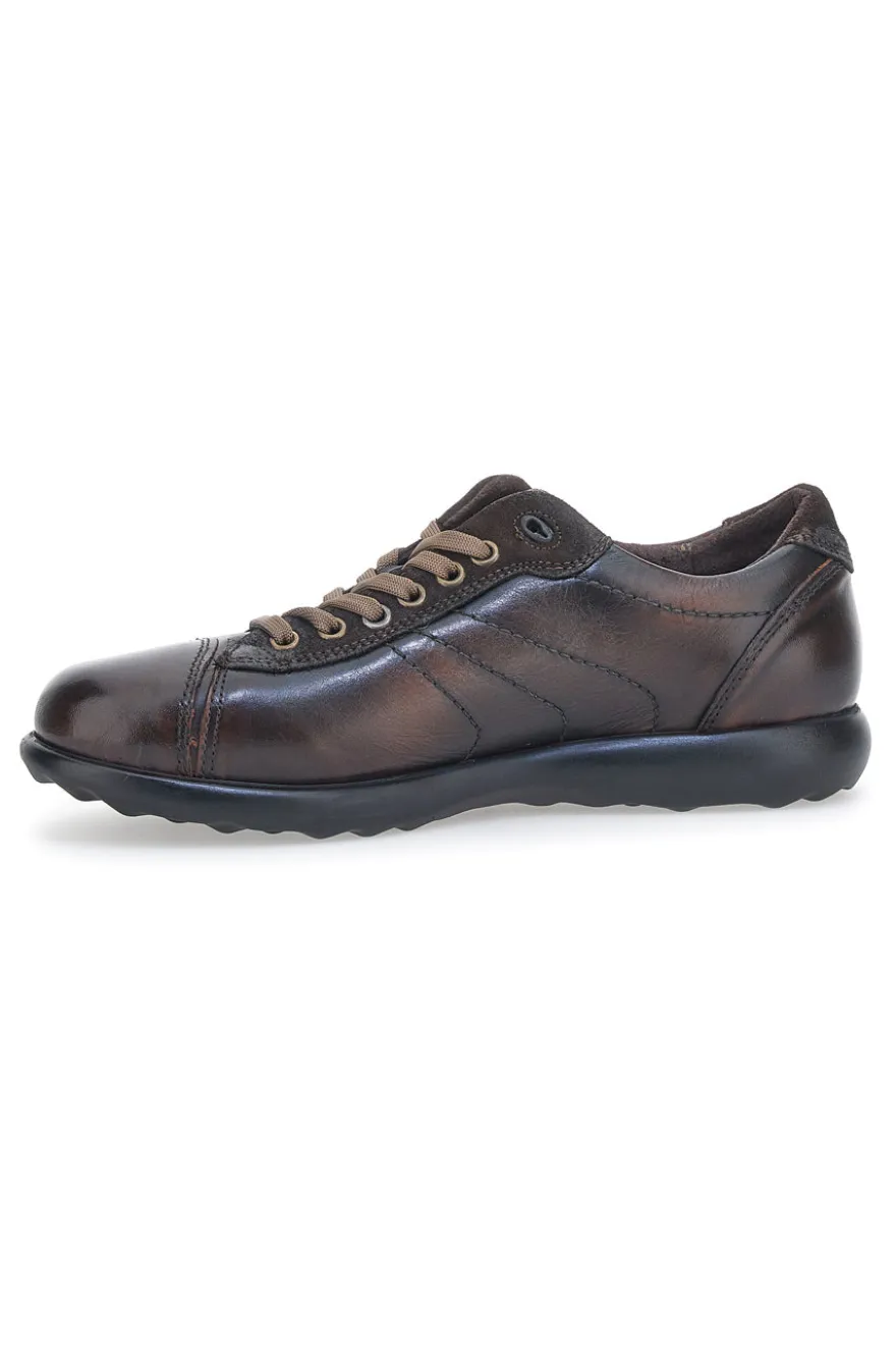 Scarpe Stringate Jerpoint 1911 Marrone