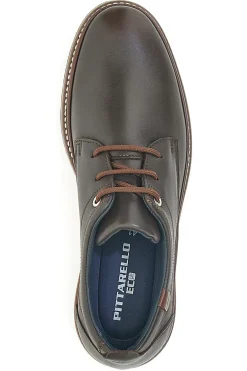 Scarpe Stringate Marroni Pittarello Eco 450002