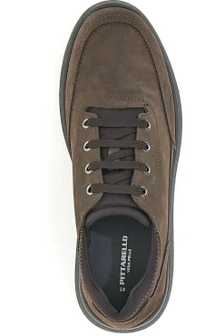 Scarpe Stringate Marroni Pittarello 5792