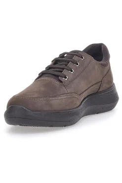 Scarpe Stringate Marroni Pittarello 5792