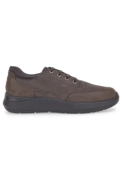 Scarpe Stringate Marroni Pittarello 5792