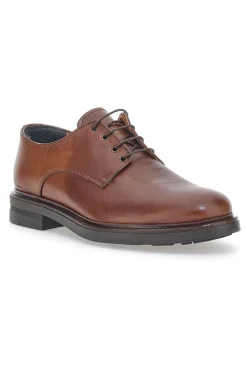 Scarpe Stringate Marroni Claremorris 220